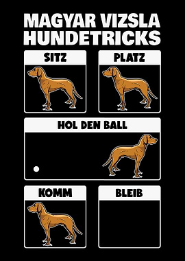 Magyar Vizsla Hundetricks