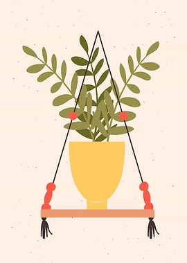 Succulent indoor plants