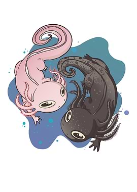 Yin Yang axolotls black