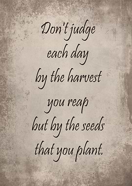 The seeds that you plant
