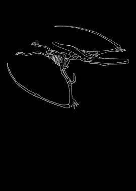 Dinosaurier Fossil Skelett