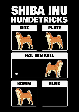 Shiba Inu Hundetricks