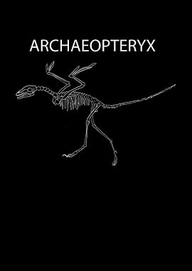 Dinosaurier Fossil Skelett