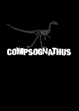 Dinosaurier Fossil Skelett