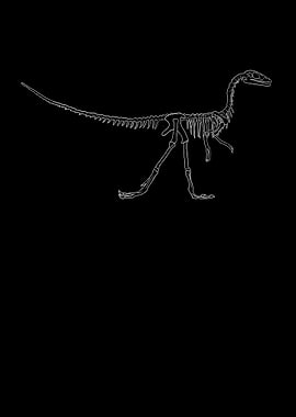 Dinosaurier Fossil Skelett