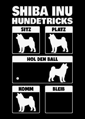 Shiba Inu Hundetricks