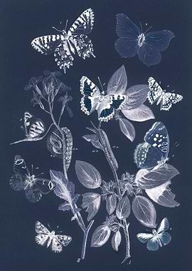 Butterflies with leaves