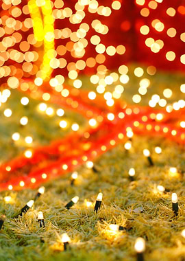 Outdoor Christmas decorati