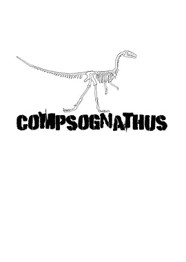 Dinosaurier Fossil Skelett