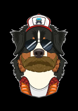 Truck Bernese Mountain Dog