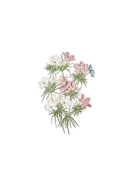 Thick Flower Slender Tube