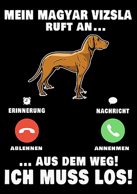Mein Magyar Vizsla ruft an
