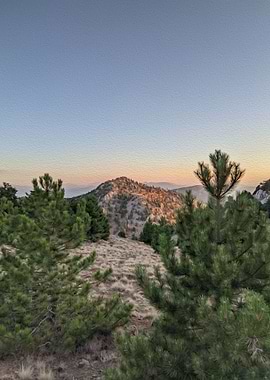 Turkish Nature with brush