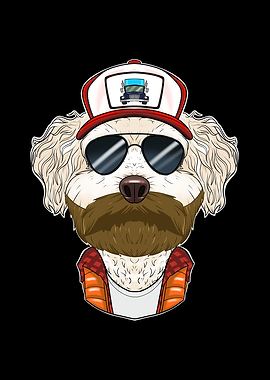 Truck Driver Bichon Frise