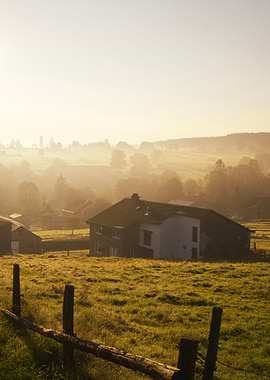 Cottage in the meadow