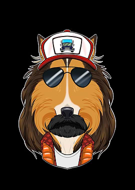 Truck Driver Collie
