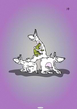 3 Funny Dogs and Lemon Cat