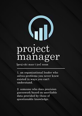 Project Manager Definition