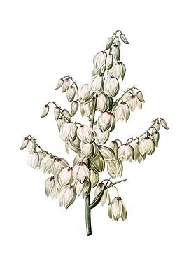 Vintage Aloe Yucca Flower