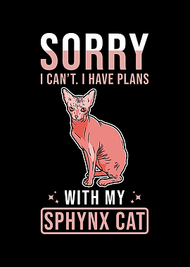 Sphynx Cat
