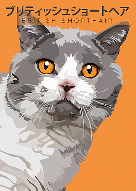 British Shorthair