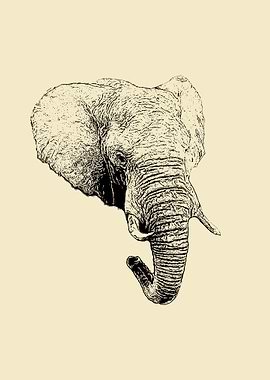 Elephant portrait