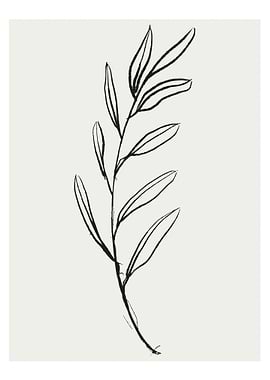 Botanical Leafy Line Art