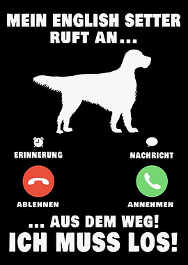 Mein English Setter ruft a