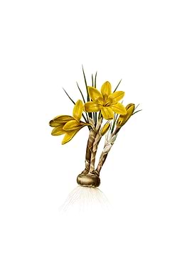 Vintage Crocus Luteus