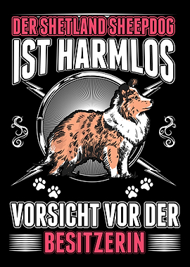 Sheltie Besitzerin Htehun