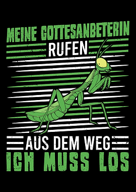 Meine Gottesanbeterin ruft