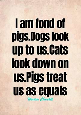 Winston Churchill Quotes