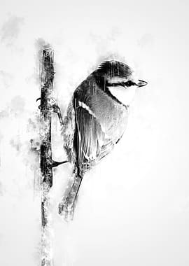 Bird on twig BW