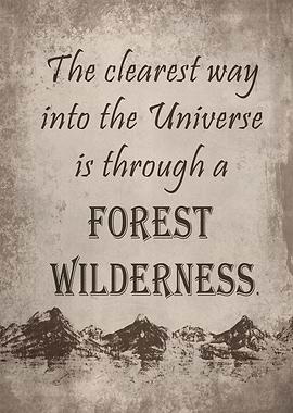 Way into the Universe