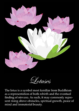 Lotus poster
