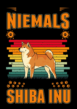 Unterschtze niemals eine