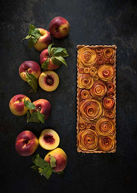 Field of peachy roses