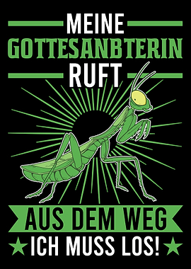 Meine Gottesanbeterin ruft