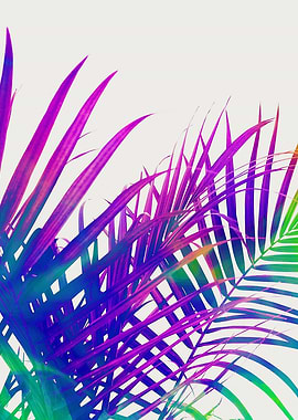 Colorful Palm