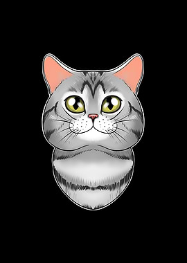 American Shorthair Cat