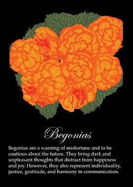 Begonias poster