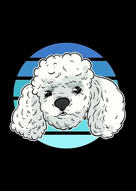 Toy Poodle Face