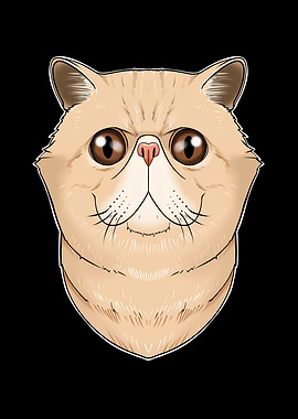 Exotic Shorthair Cat Lover