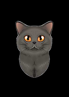 British Shorthair Cat Love