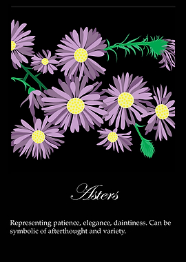 Asters poster