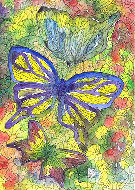 Butterflies 3
