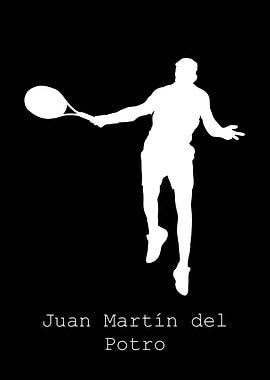 Juan Marin del Potro