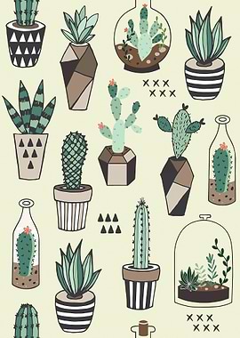 Various cactus plant