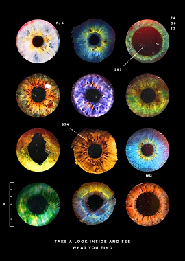 Artistic Artwork Vol 13