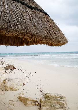 Caribbean Ocean Vibes 1